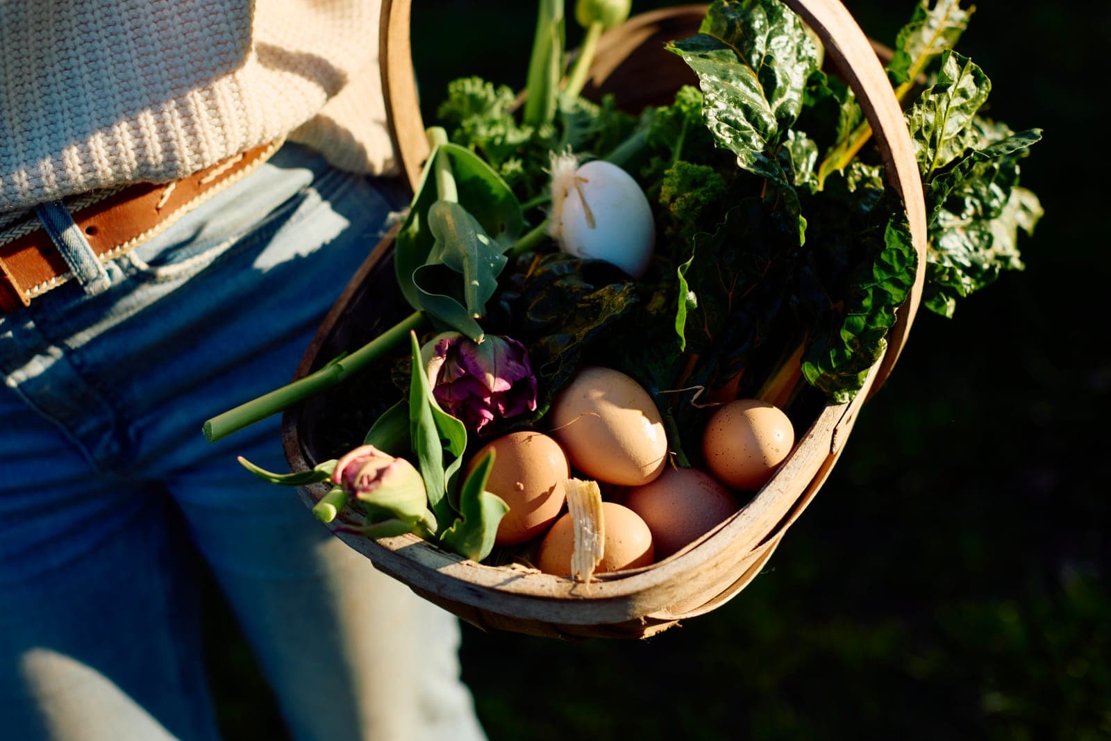 A garden basket of freshly picked greens, tulips and eggs
