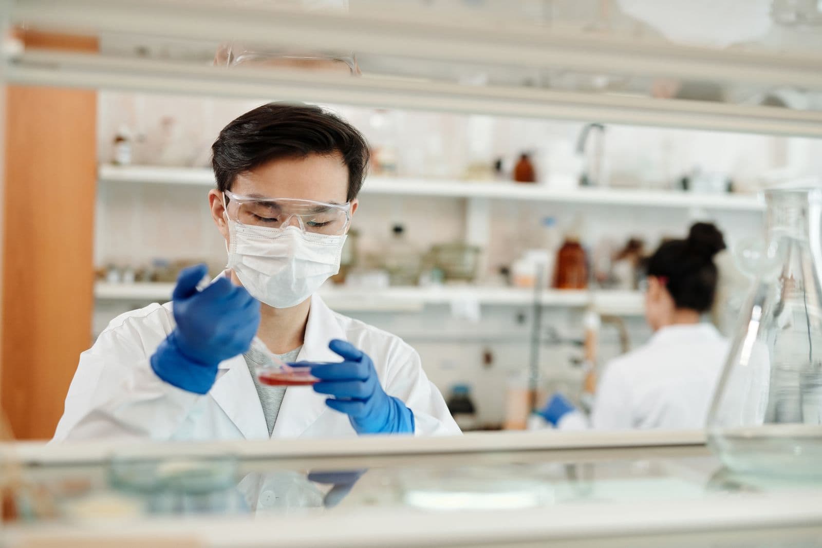 A laboratory scientist examining a sample